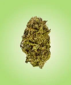Premium Economy THCA Flower