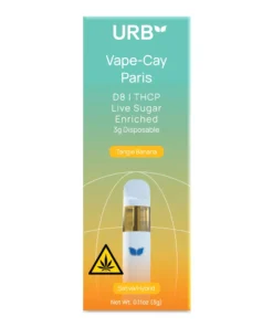 Vape-Cay Paris Disposable Vape 3ML